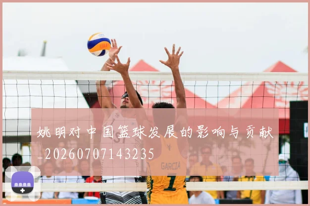 姚明对中国篮球发展的影响与贡献_20260707143235